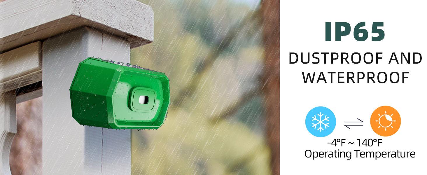 driveway detector