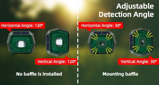 detectors